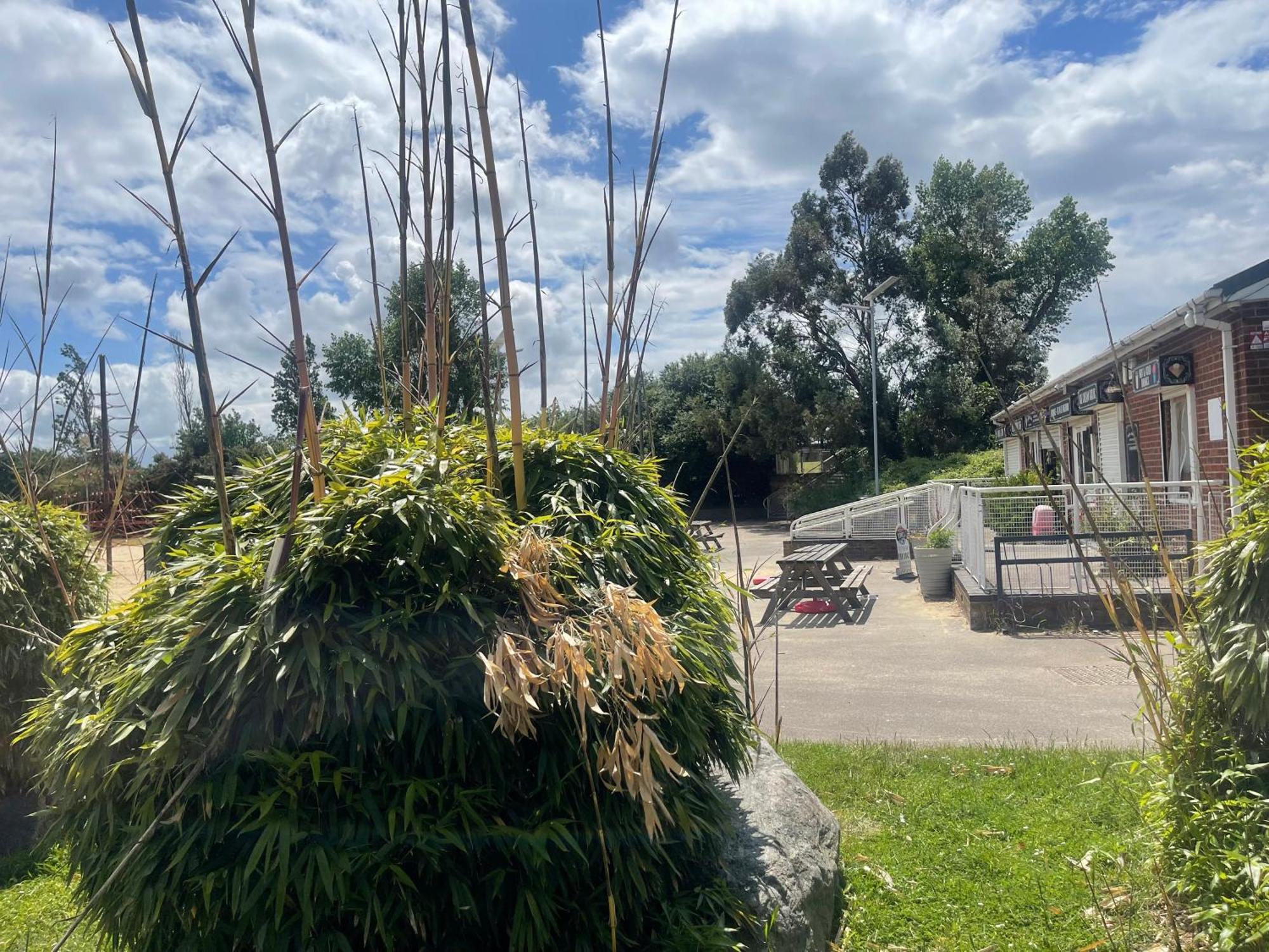Cosy Flat Behind A Creekbeach In Grays Экстерьер фото